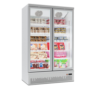 两门下置冷冻展示柜-速冻食品