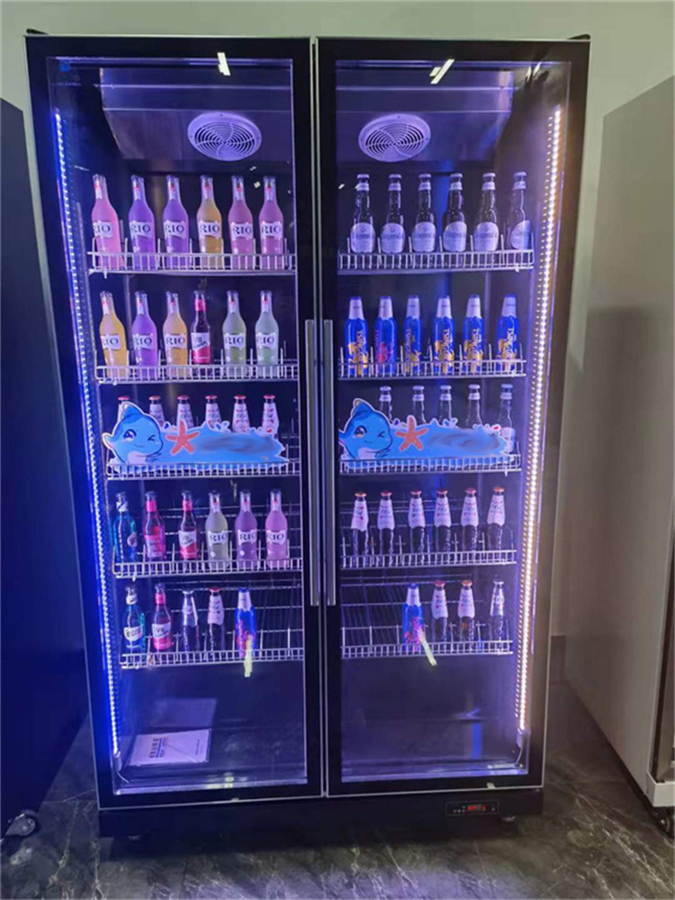网红双门饮料柜
